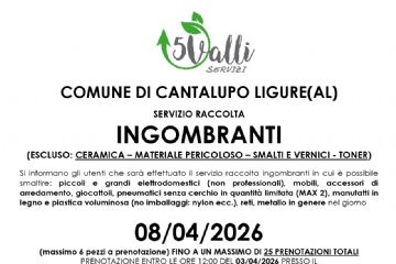 Ritiro rifiuti ingombranti 08/04/2026